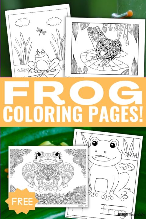 Free Frog Coloring Pages For Kids