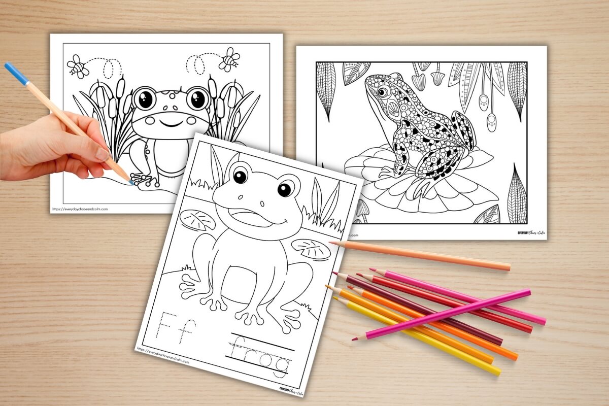 frog coloring pages examples 