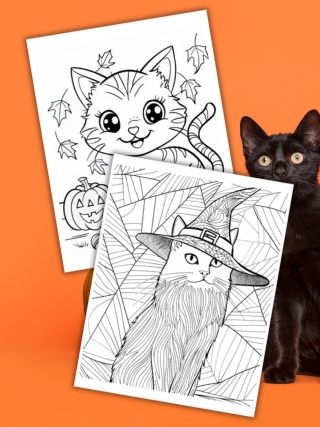 halloween cat coloring