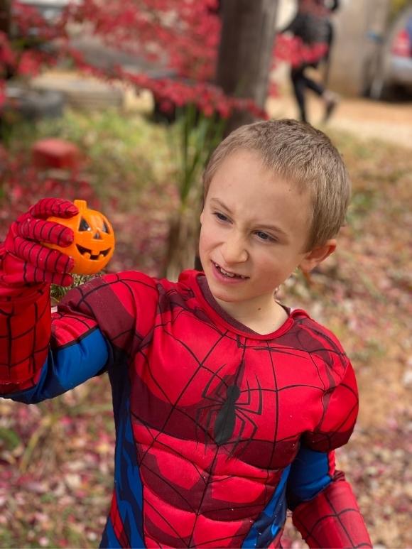 Halloween egg hunt, little boy finding a pumpkin egg in a spiderman costume