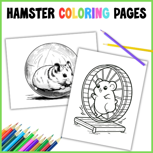hamster coloring pages 