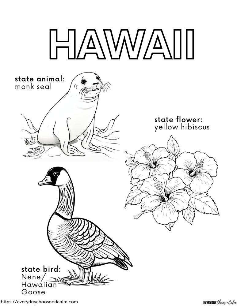 hawaii coloring page