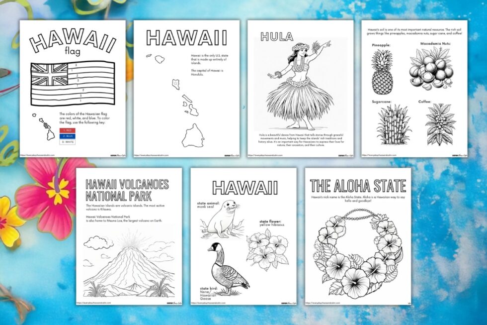 Free Educational Hawaii Coloring Pages For Kids