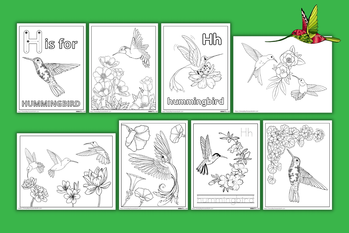 hummingbird coloring pages example pages