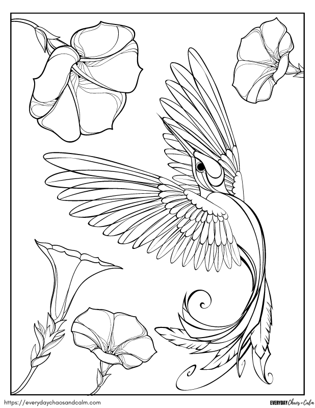 printable hummingbird coloring page for kids