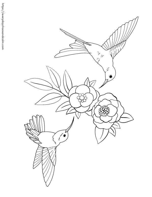 printable hummingbird coloring page for kids