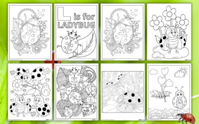 Free Ladybug Coloring Pages for Kids
