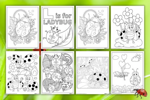 Free Ladybug Coloring Pages For Kids