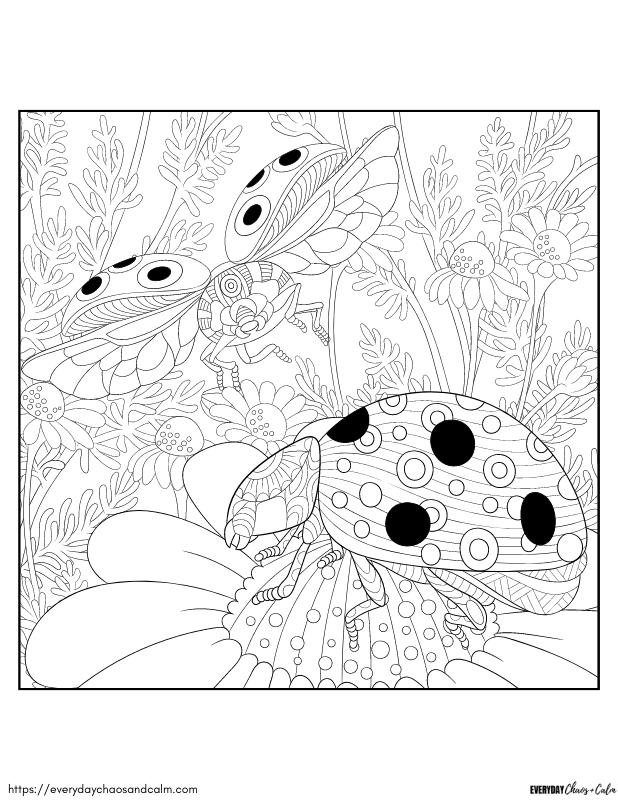 printable ladybug coloring page for kids