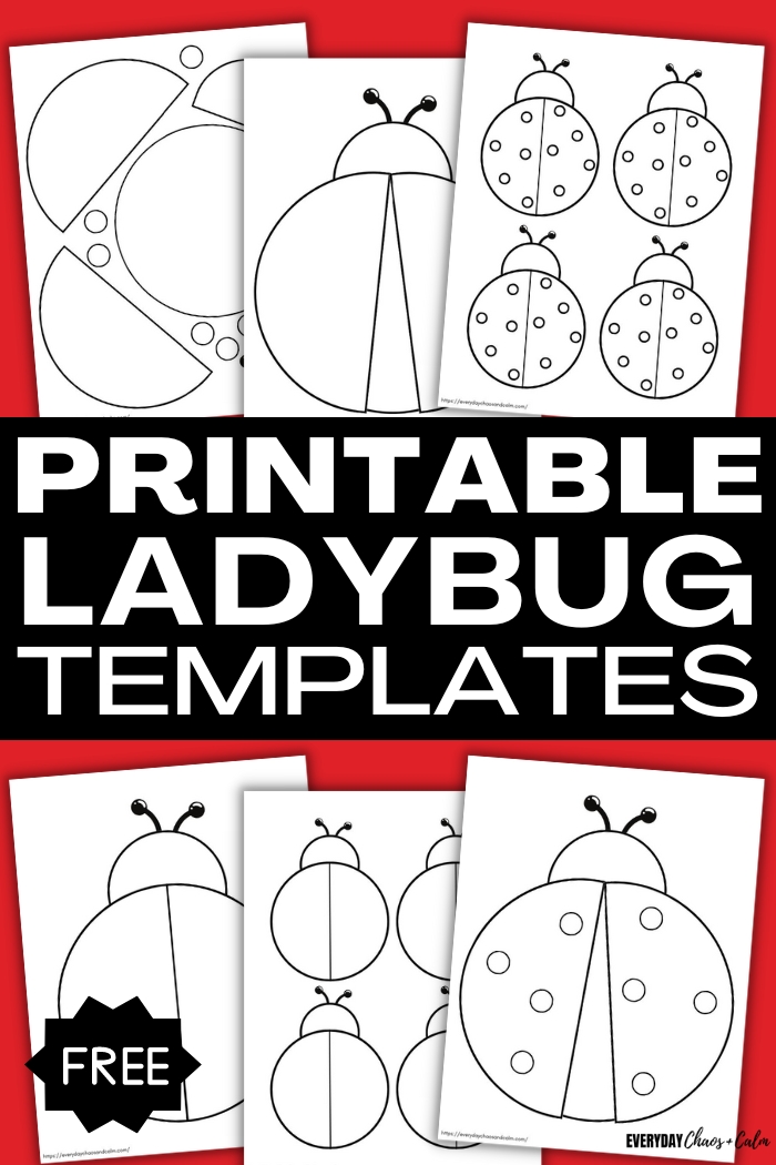 printable ladybug templates