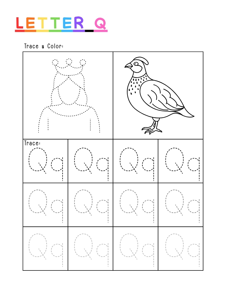 letter Q tracing worksheet, education printable, PDF, instant download, kids