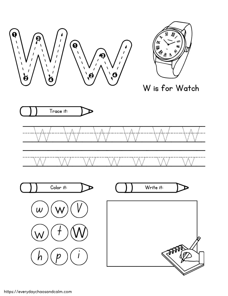 printable letter W worksheet, PDF, instant download, preschool, Kindergarten