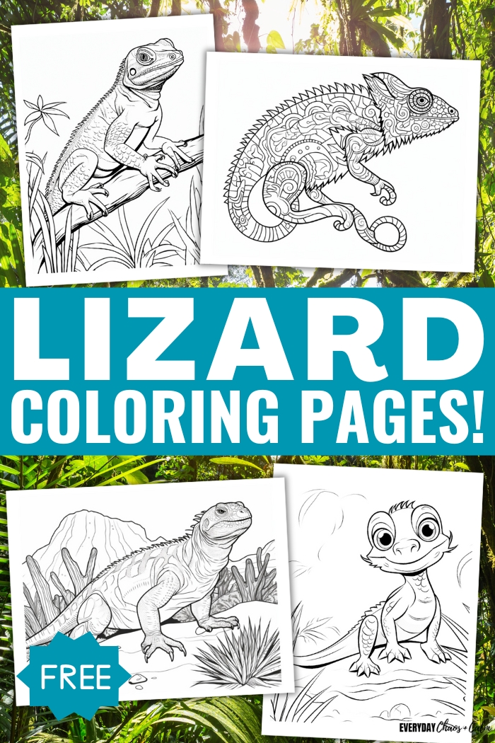 example lizard coloring pages