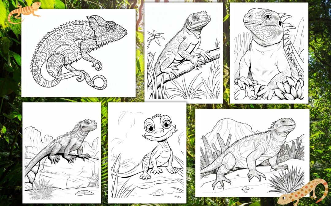 Free Printable Lizard Coloring Pages for Kids