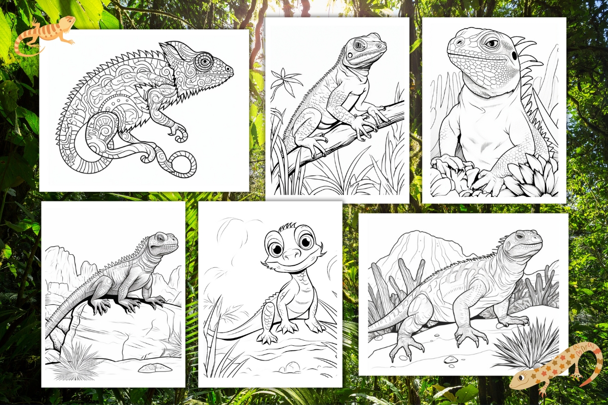 lizard coloring pages example pages

