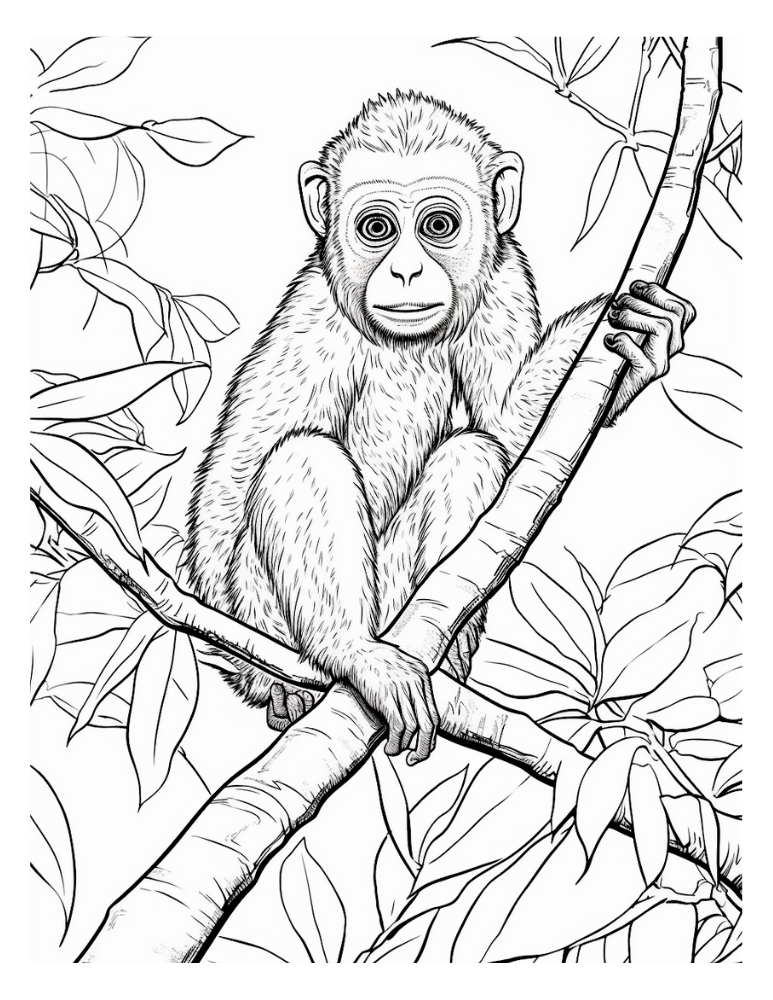 Monkey Coloring Page Printable Monkey Coloring Page Printable