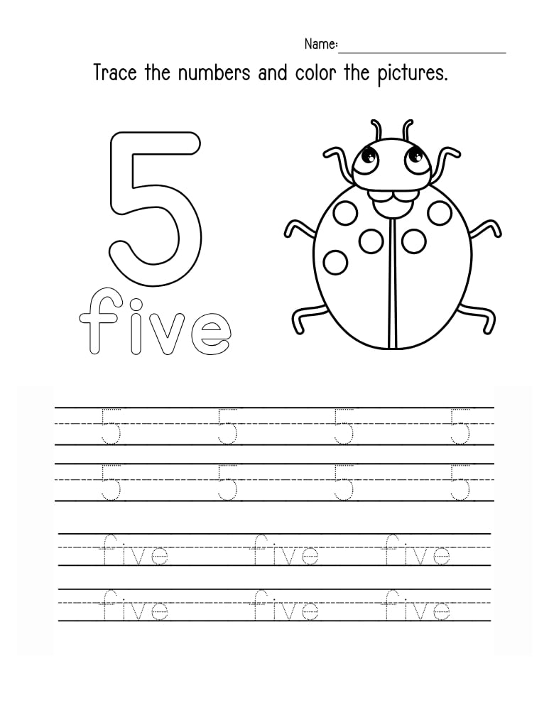 number 5 worksheet, early math printable, PDF, instant download, kids