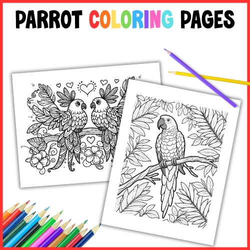parrot coloring pages