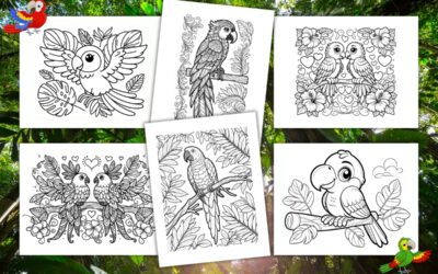 Free Parrot Coloring Pages for Kids