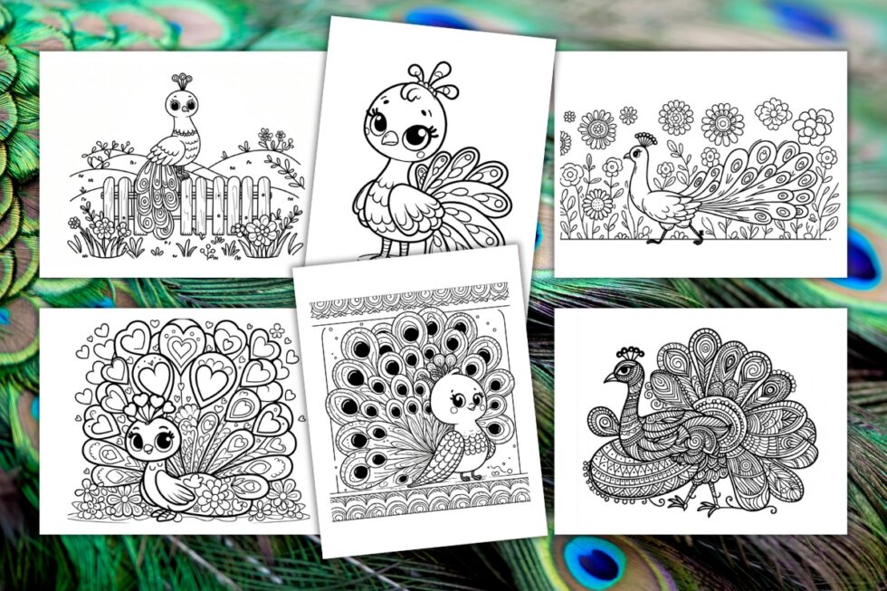 Free Peacock Coloring Pages For Kids