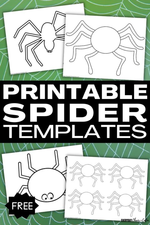 Free Printable Spider Template And Outlines