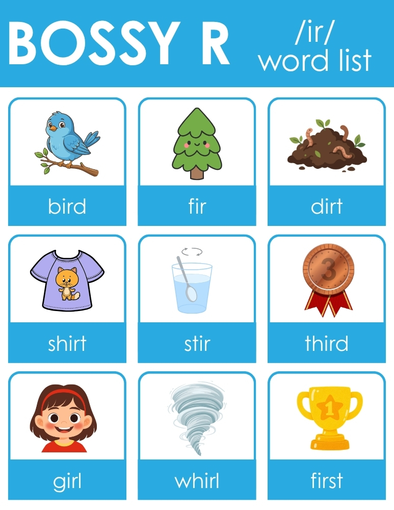 ir sound r controlled anchor charts, bossy r IR vowels reference poster, literacy phonics charts, PDF, instant download