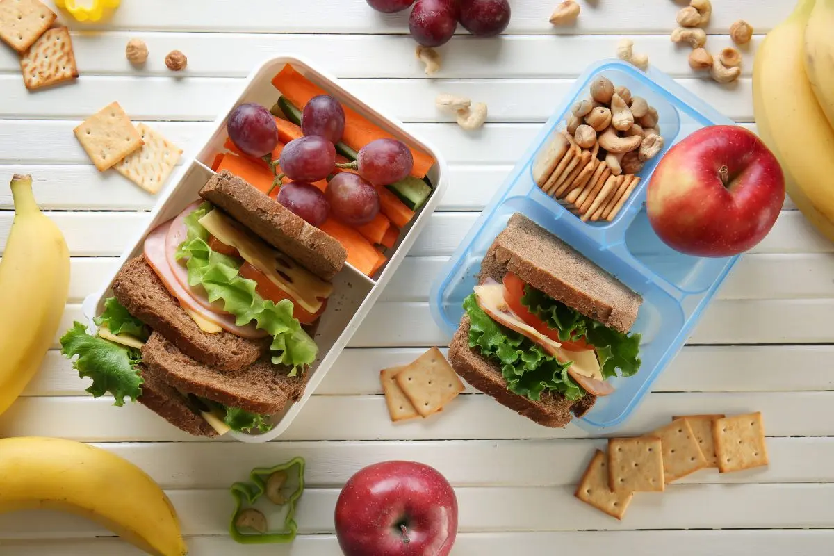 https://everydaychaosandcalm.com/wp-content/uploads/school-lunch-boxes-packed.jpg.webp