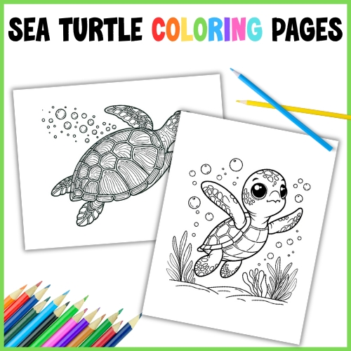 sea turtle coloring pages