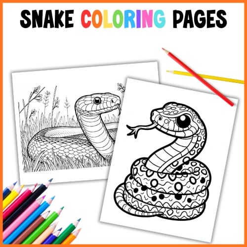 snake coloring pages