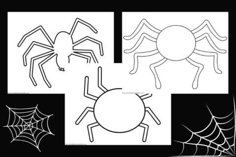 Free Printable Spider Template - Spider Template Outlines 480x320